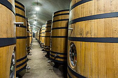 14部游戏全收集 《吃豆人博物馆+》明年登陆多平台